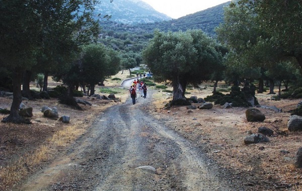 Έρευνα για λύκους και σκύλους στη περιοχή θανάτου της 63χρονης Βρετανίδας