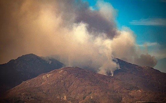 Έκτακτη συνεδρίαση του Συντονιστικού Οργάνου Πολιτικής Προστασίας στο Φυλάκιο Μαχαίρα παρουσία Χρ. Μέτιου και Ν. Τσαλικίδη. Μέχρι και χθες το μεσημέρι περίπου 8.500 στρέμματα ελληνικής  βλάστησης έχουν γίνει στάχτη, μάχη και στη Βουλγαρία￼