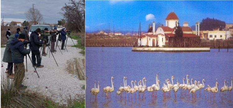 Παρατήρηση πουλιών στο Πόρτο-Λάγος￼