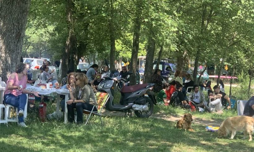 74 στρέμματα «πνεύμονα» στο Εϋμοιρο περιμένουν την αξιοποίησή τους