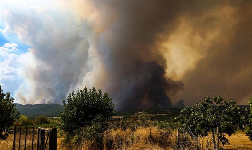 Η «ακτινογραφία» της φωτιάς στον Έβρο: Οι ευκαιρίες που χάθηκαν, οι λάθος αξιολογήσεις και τι πρέπει να γίνει