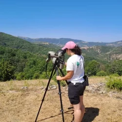 Καταγραφή σπάνιων αρπακτικών πουλιών στην Κοιλάδα Δερείου