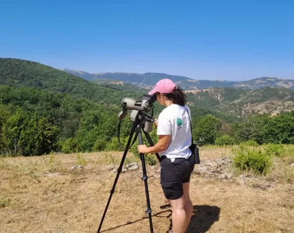 Καταγραφή σπάνιων αρπακτικών πουλιών στην Κοιλάδα Δερείου