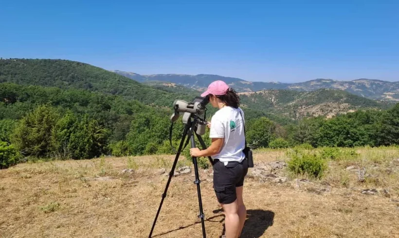 Καταγραφή σπάνιων αρπακτικών πουλιών στην Κοιλάδα Δερείου